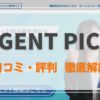 AGENT PICK